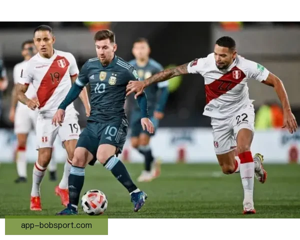 BOB体育投注最新动态解析与全面攻略指南全面呈现